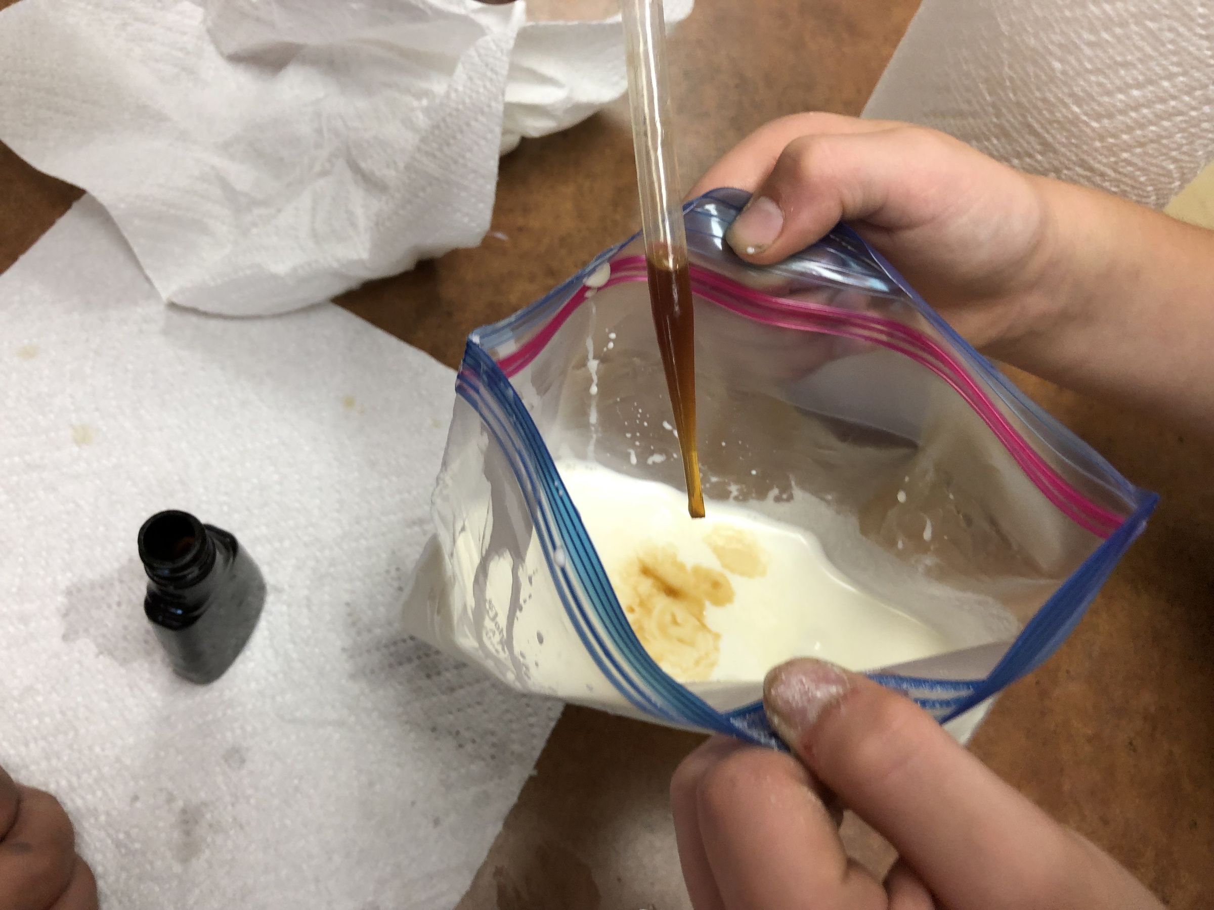 Ice Cream Lab 9 Steps (with Pictures) Instructables