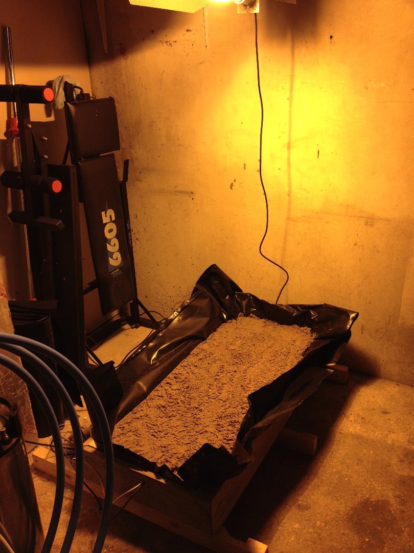 Just Add Water, Power and Plants!