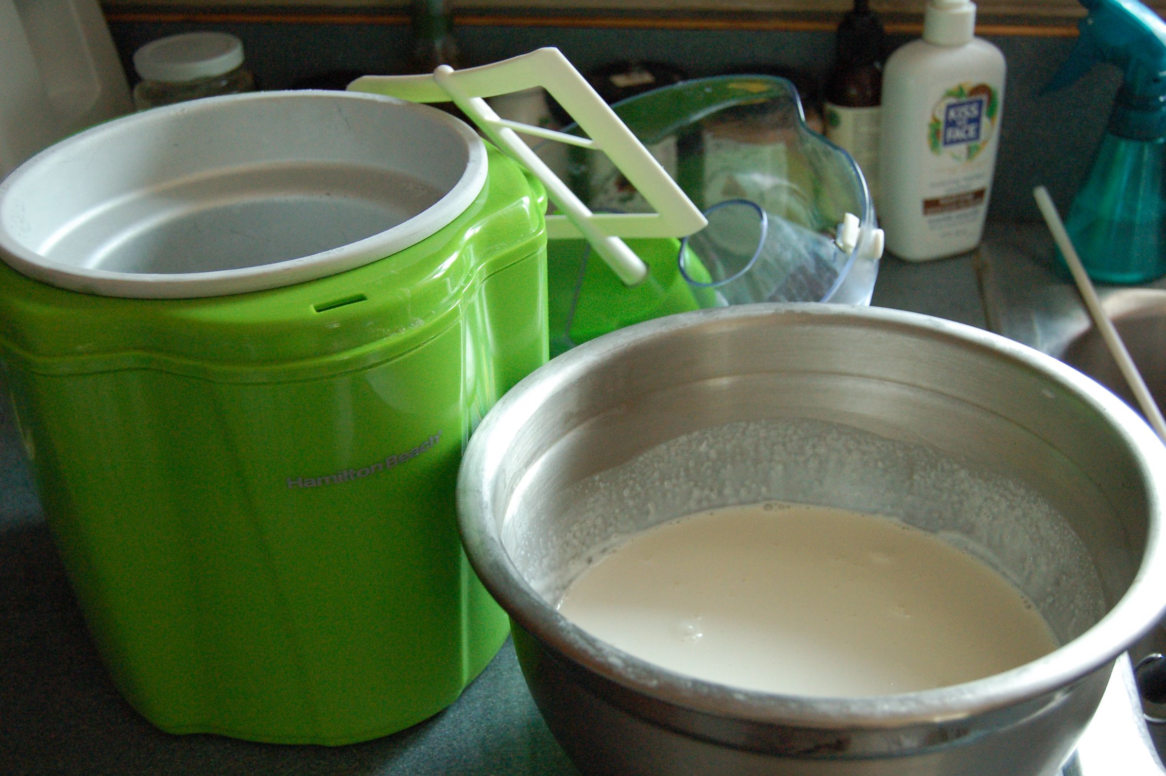 Peanut Butter Chocolate Explosion Ice Cream 6 Steps Instructables