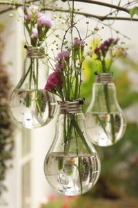 Planting a Water Plant Into the Bulb