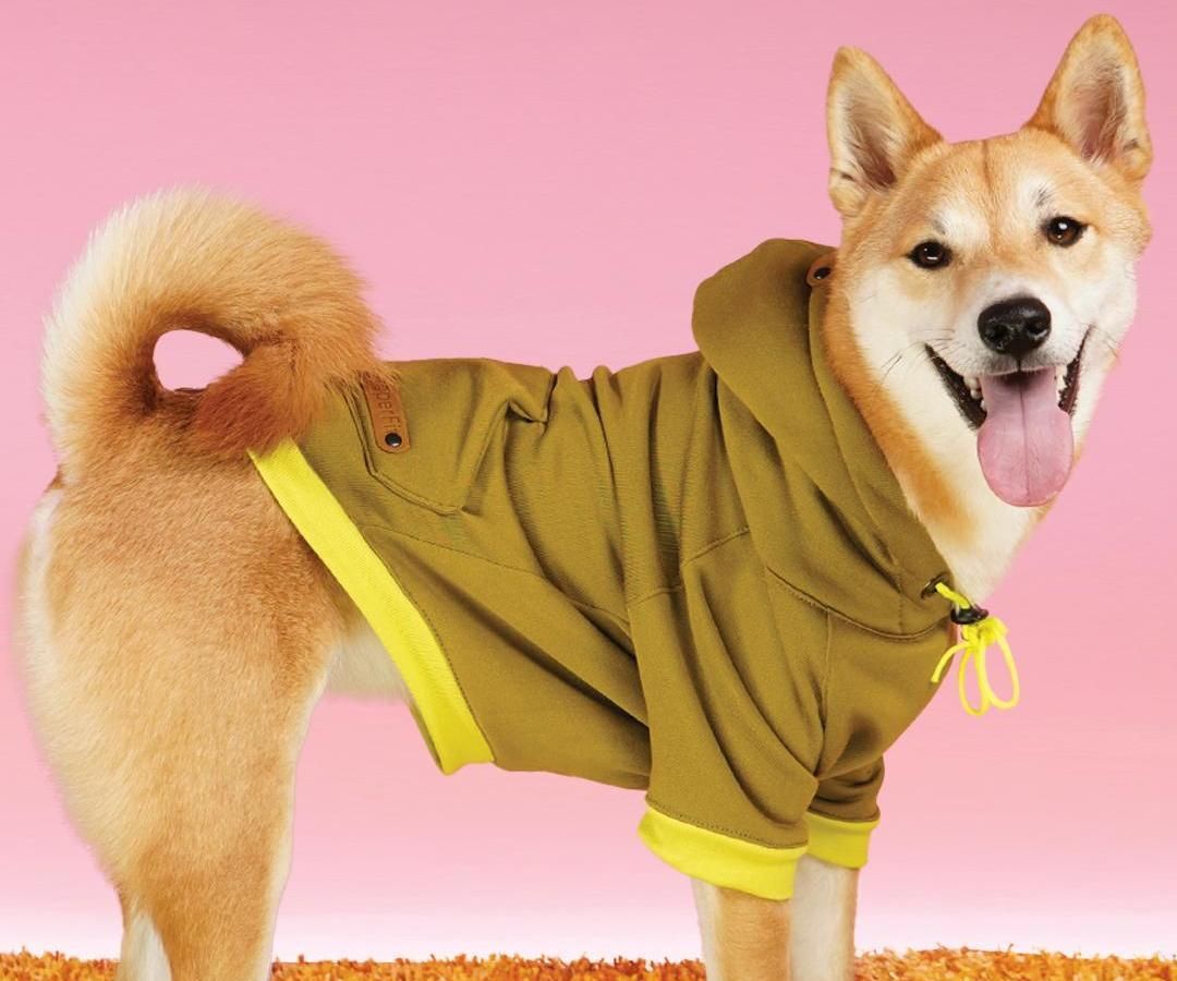DIY Pet Hoodie