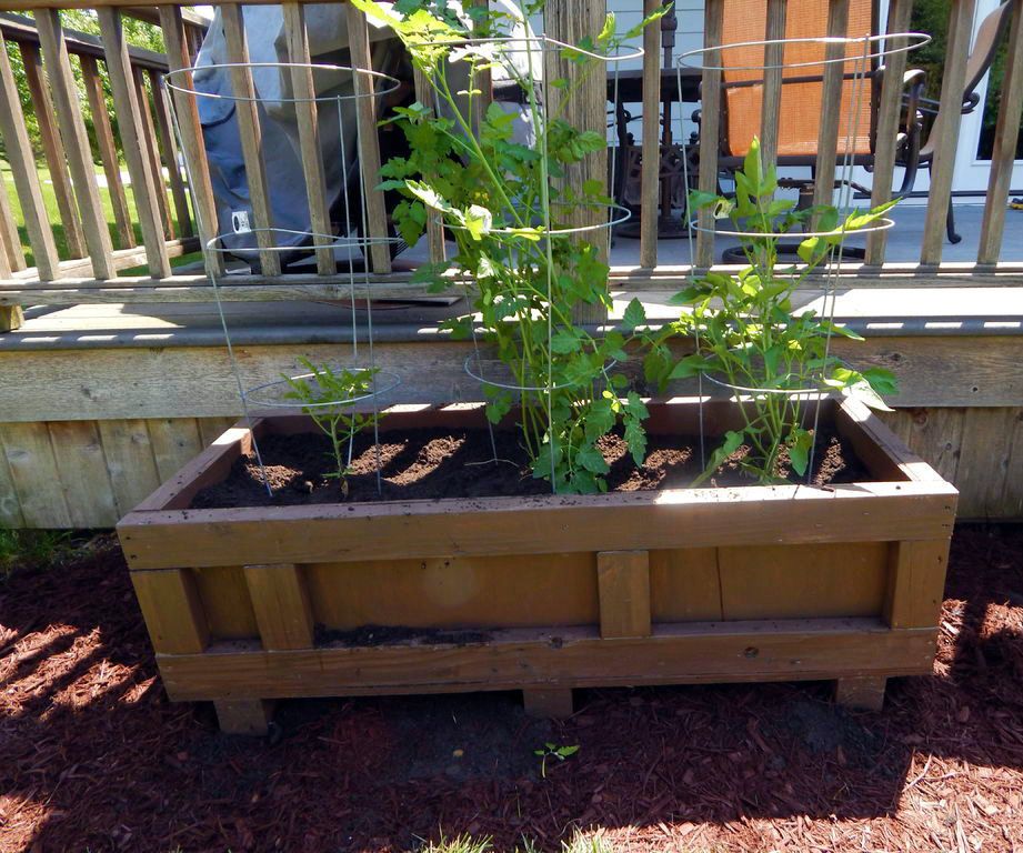 Large Outdoor Planter From a Recycled Shipping Crate