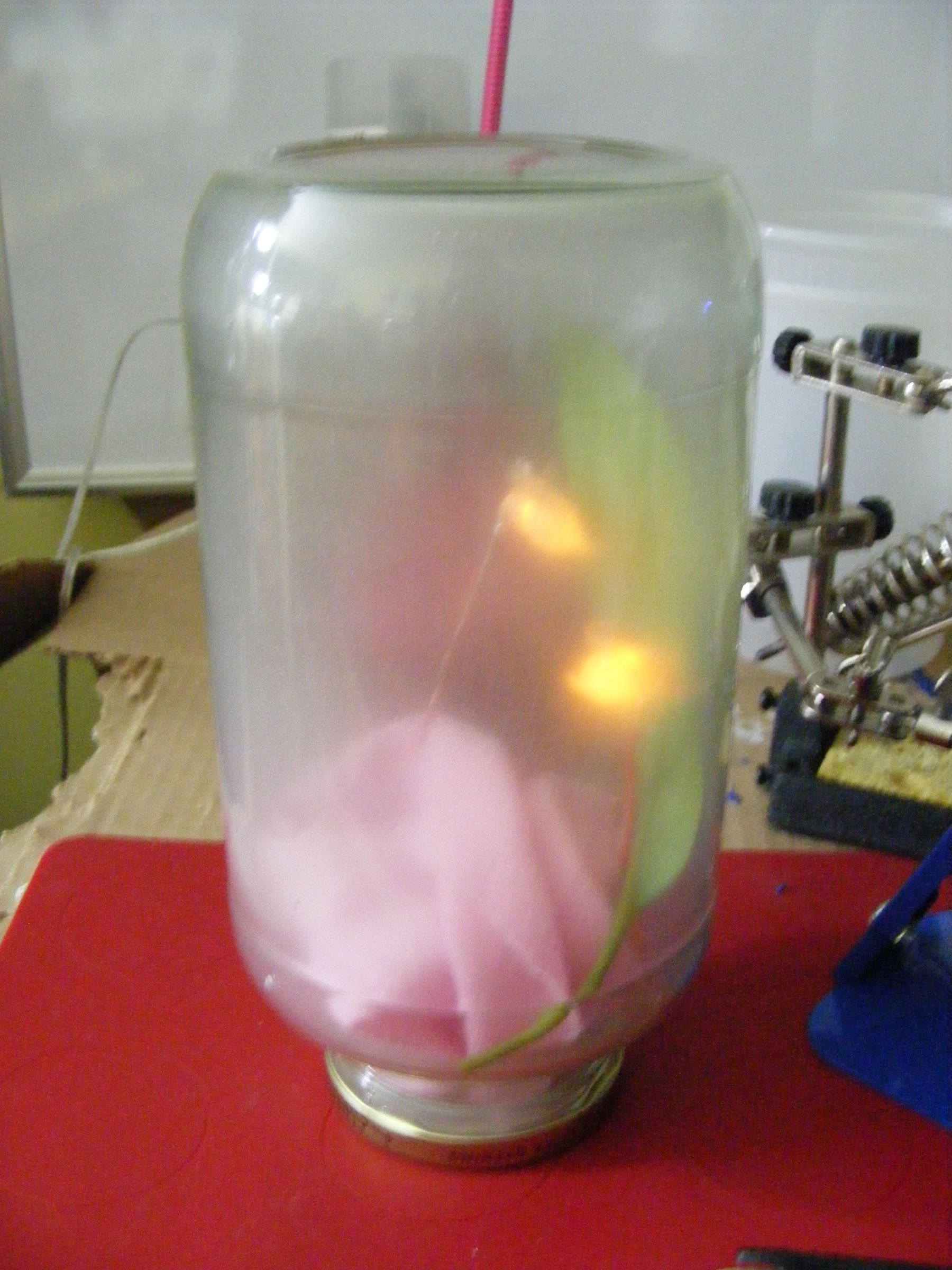 Lightning Bug Firefly Jar Centerpiece Favor Yokozuna Righteous Jar of