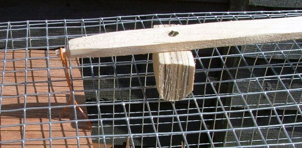 Making a Really Simple Rabbit Trap : 6 Steps - Instructables