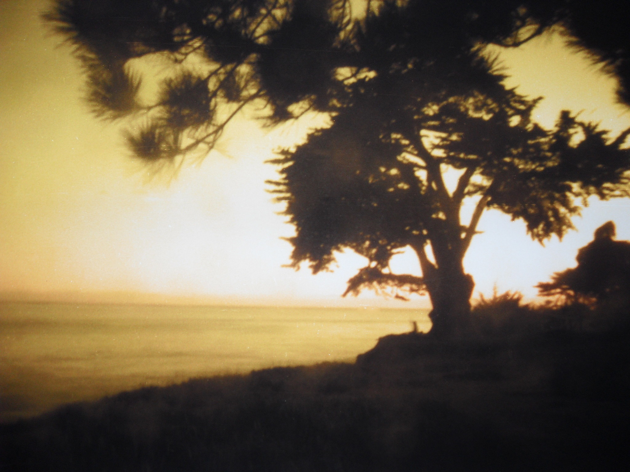 How to Make a Pinhole Camera Out of an Old Point N' Shoot