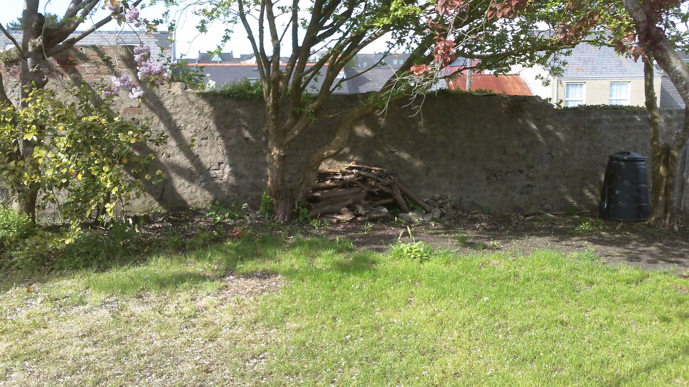 Create a Mini Beast Refuge in Your Garden. Logpile Habitat for International Day for Biological Diversity.