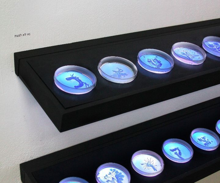 How I Built My Exhibition Light-box/shelf
