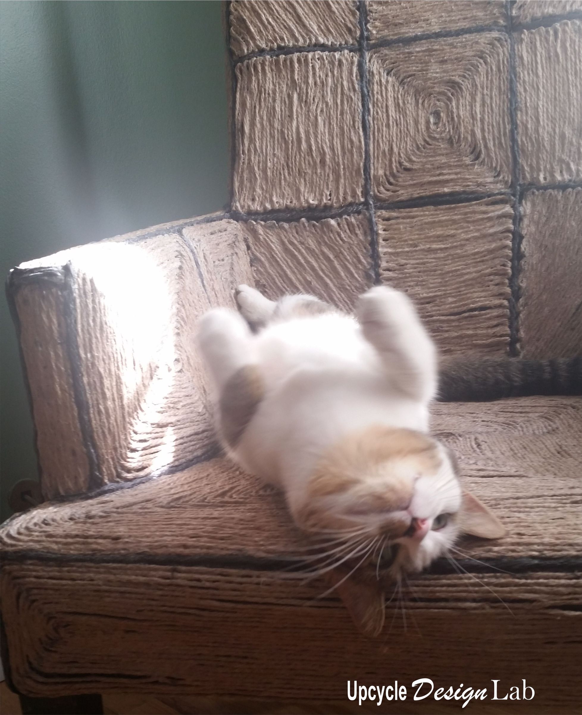 Cat Scratched Chair Repair 13 Steps Instructables