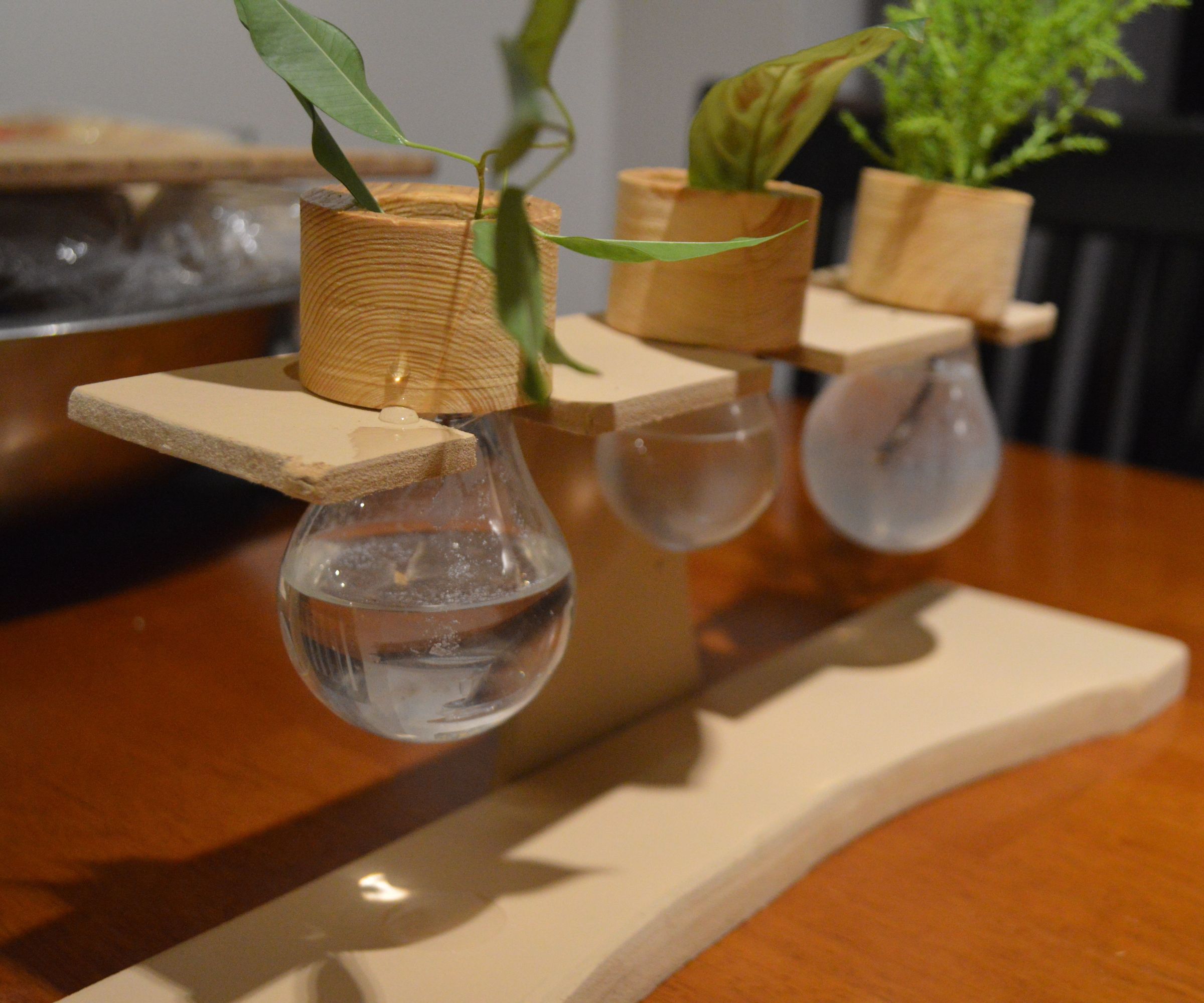 Light Bulb Window Sill Planter