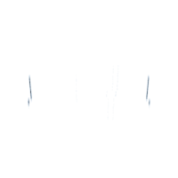 download {{ file.name }}