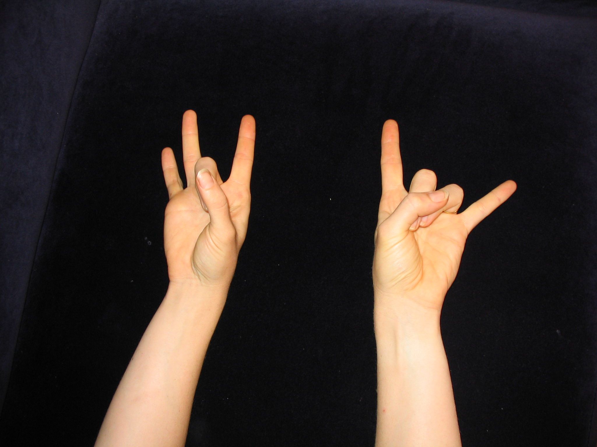 Mouse Toe Numbering Scheme