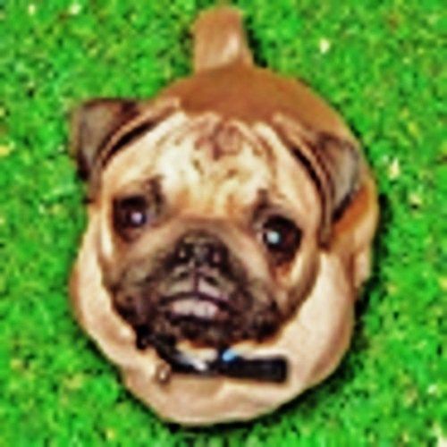 Instructables profile picture for @nielsen