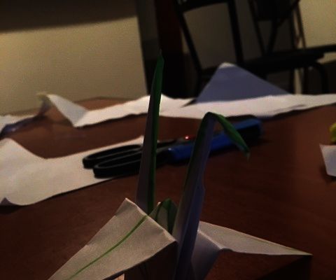 Origami Usability Testing