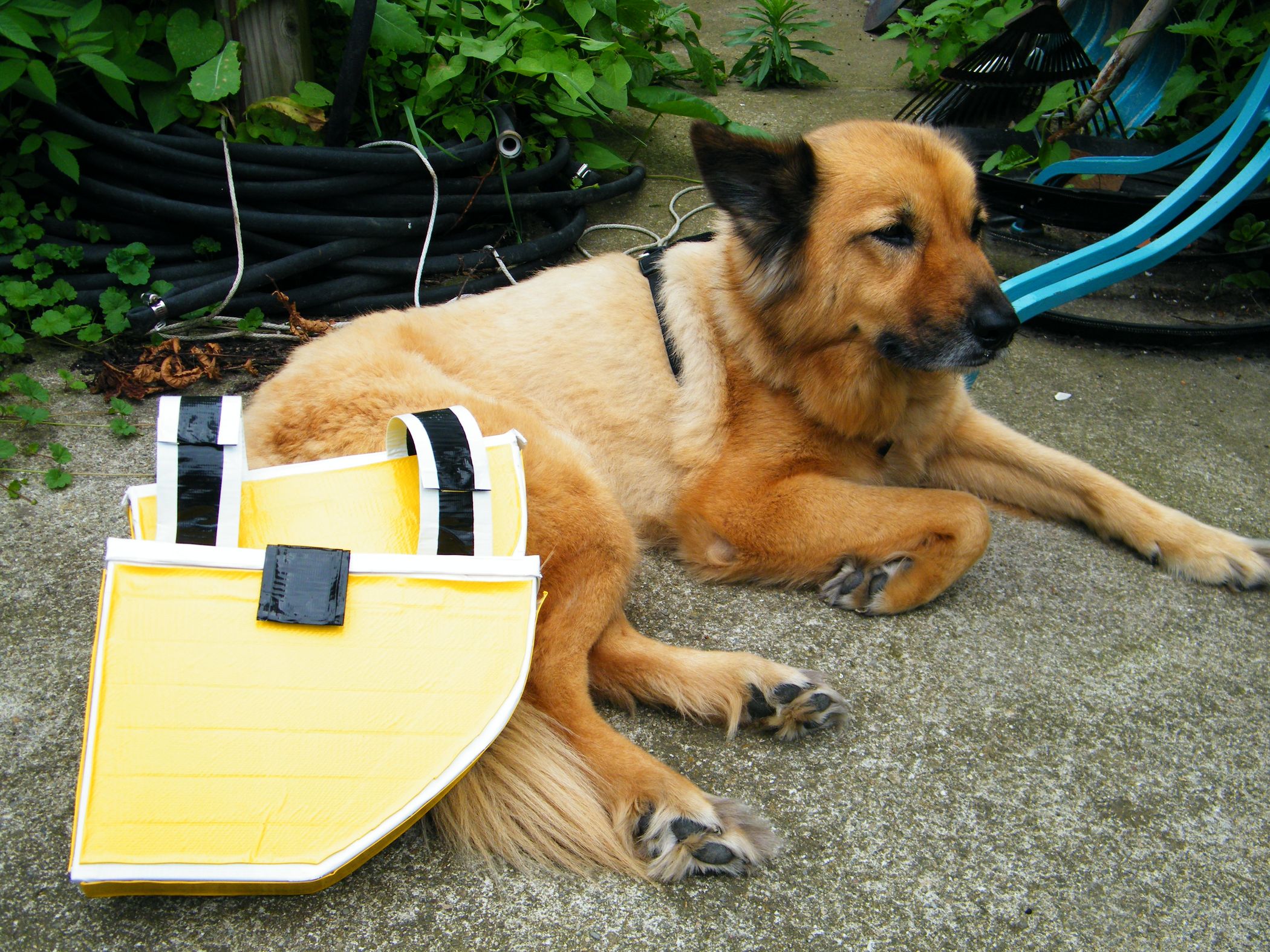 Picture of Duct Tape Dog Panniers (with Pictures) - Instructables