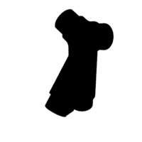 download {{ file.name }}