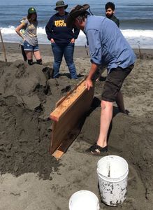 Sand Sculpture : 7 Steps (with Pictures) - Instructables