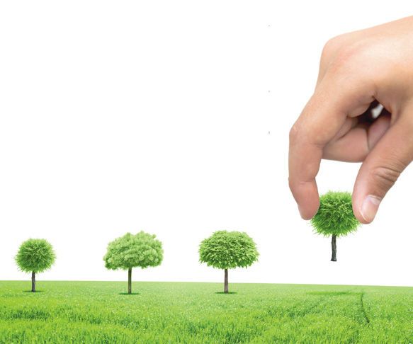 Making Lifestyle Improvements