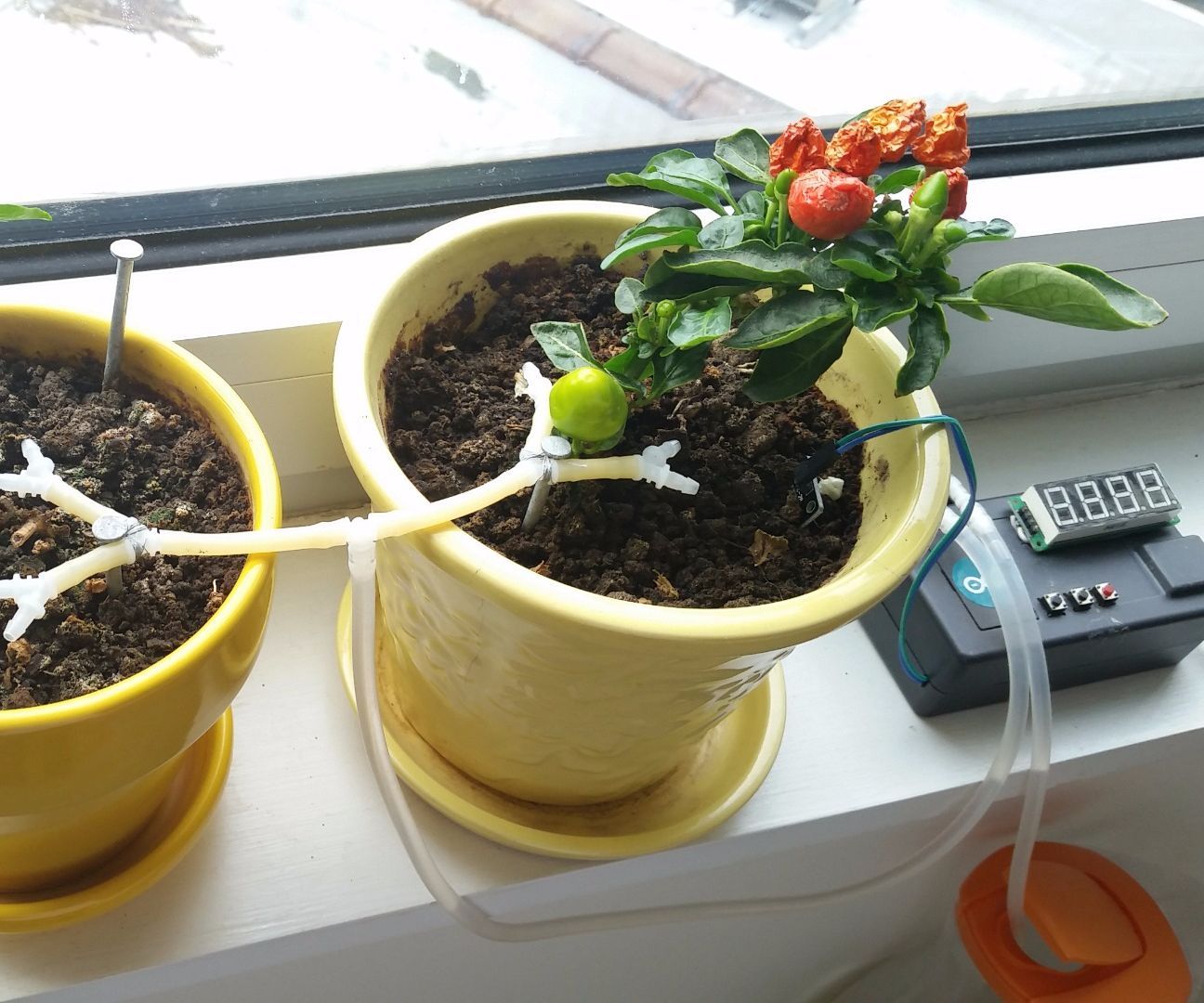 APIS - Automated Plant Irrigation System