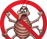 The Cockroach Killer