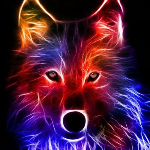 WolfieWildDog