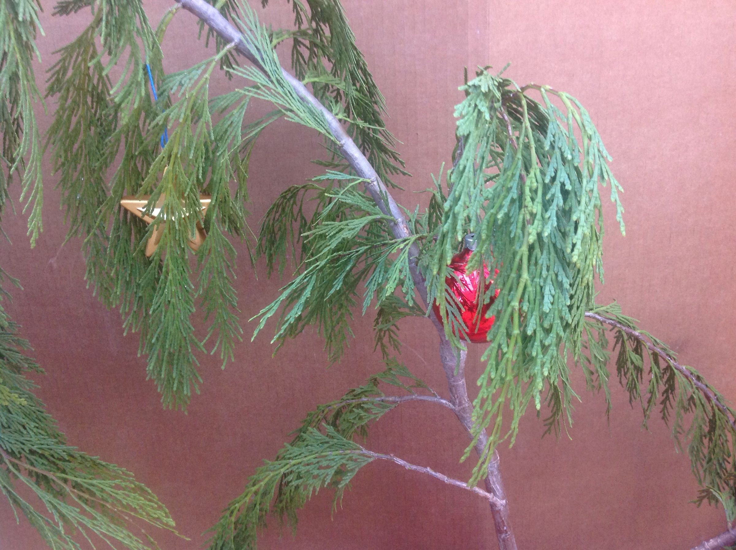 Charlie Brown Christmas Tree Homemade 3 Steps (with Pictures) Instructables