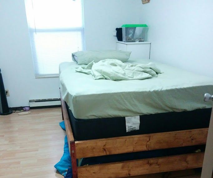 Loft Bed With Trundle