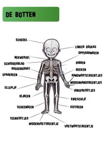 Print the Game Boards 