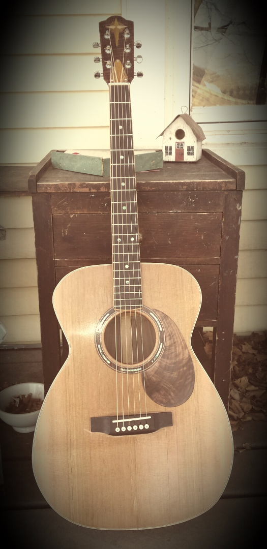 Building an Acoustic Guitar