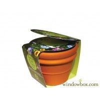 Flower Seed Kits, One of the Best Gifts You Can Give