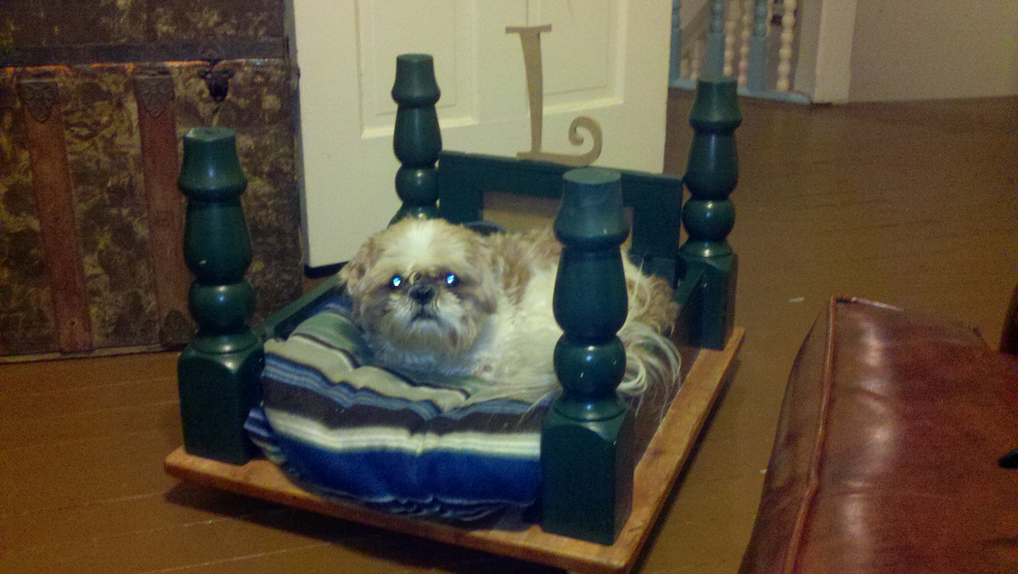 Cheap and Fast Dog Bed