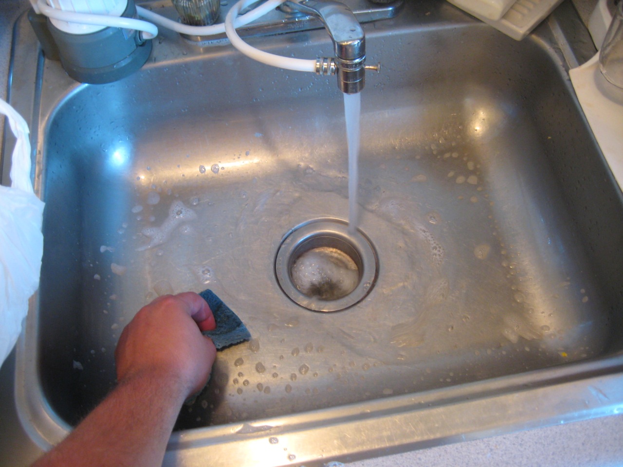 turkey with carrots celery and onions