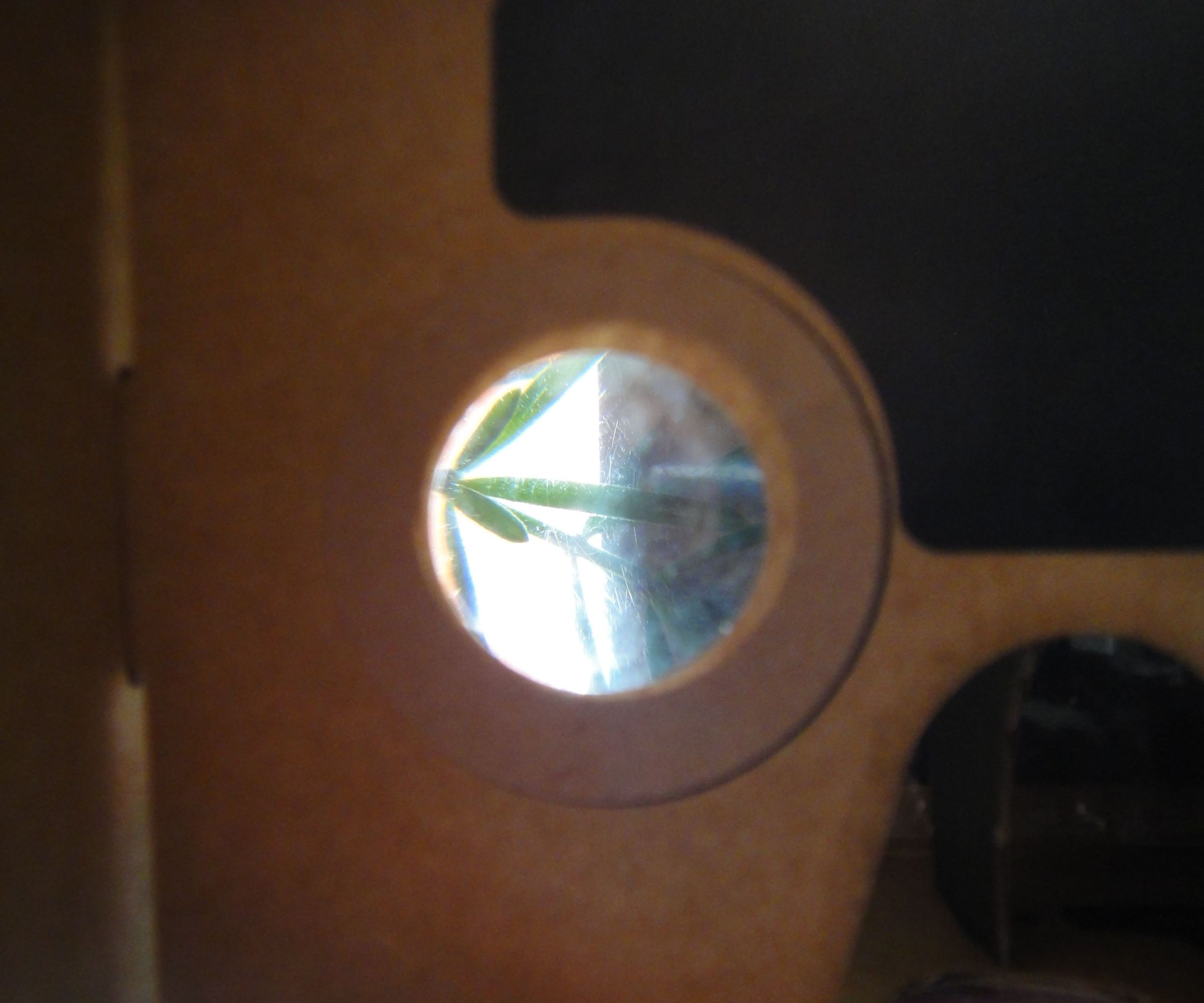 Low-magnification Microscope