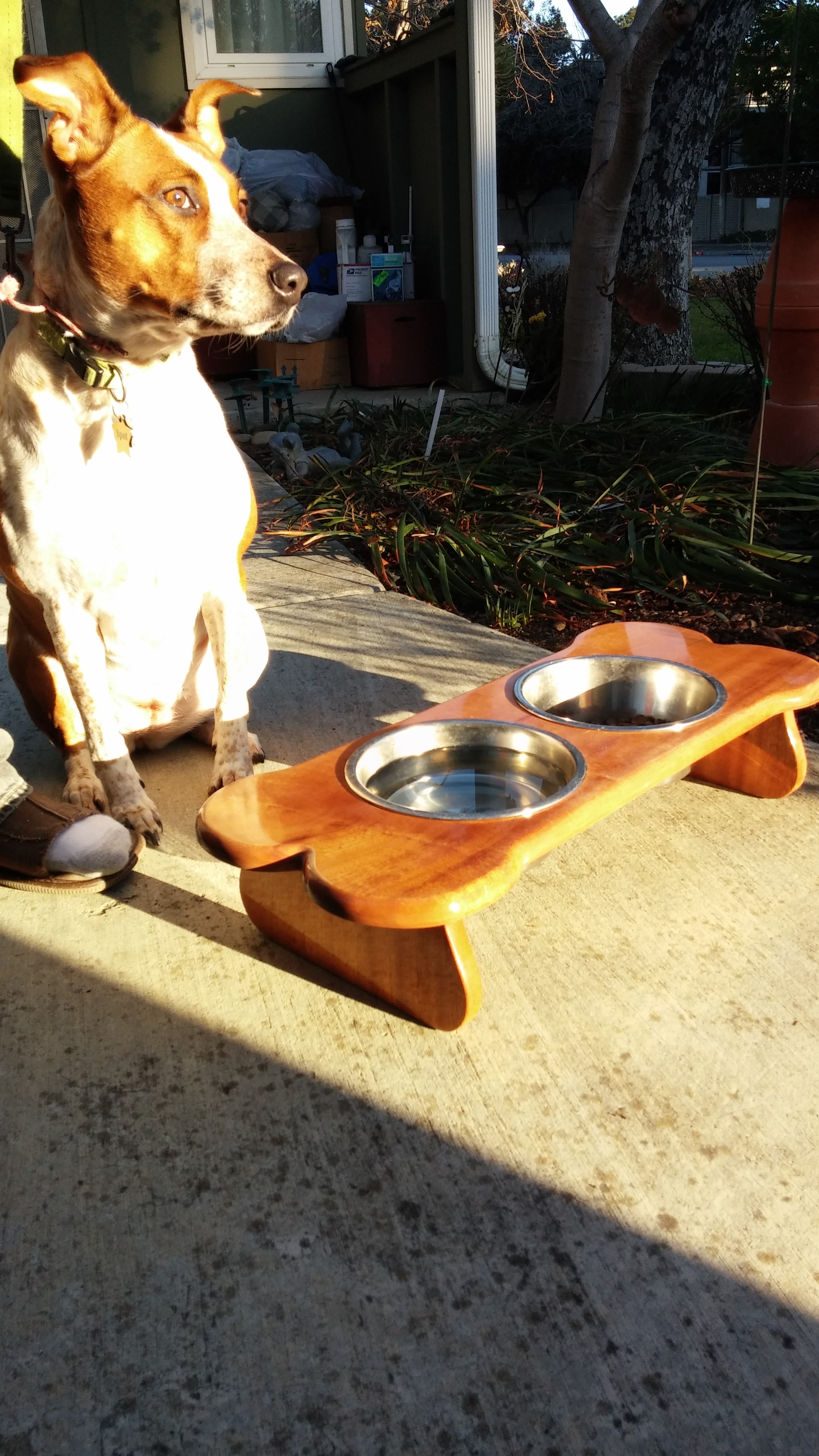 Wooden Dog Bowl Table for Spot 11 Steps (with Pictures) Instructables