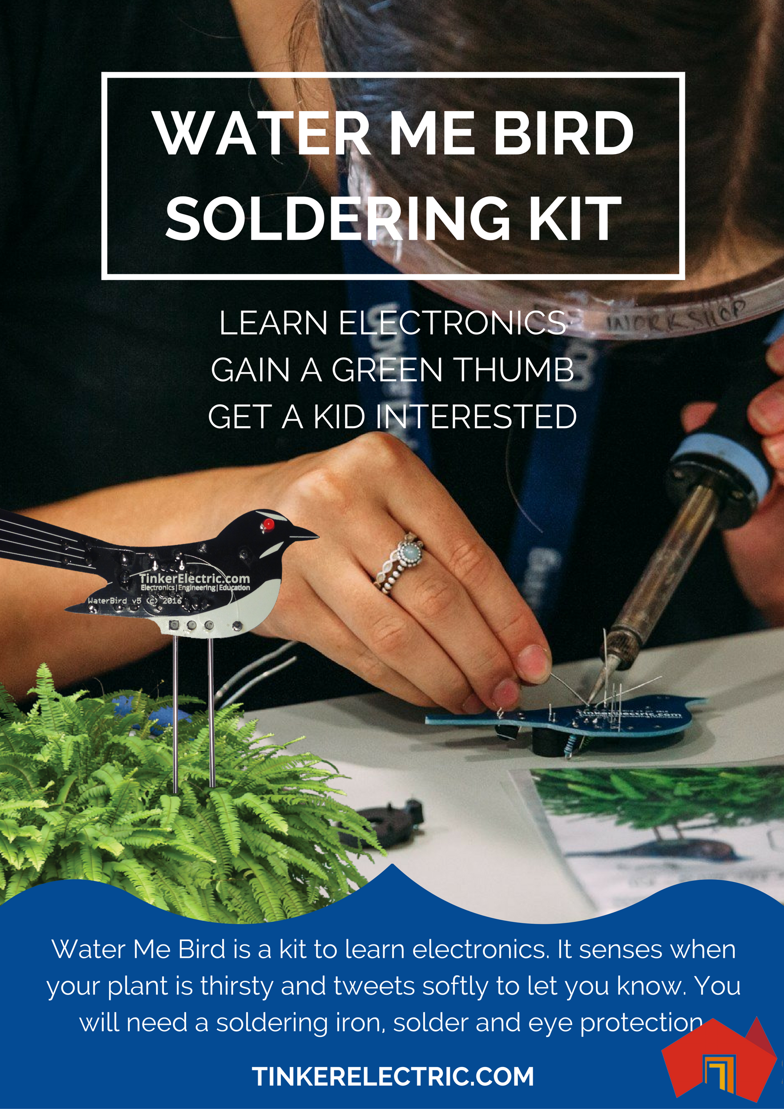 Water Me Bird, Sweet Reminder to Water My Plants 6 Steps (with