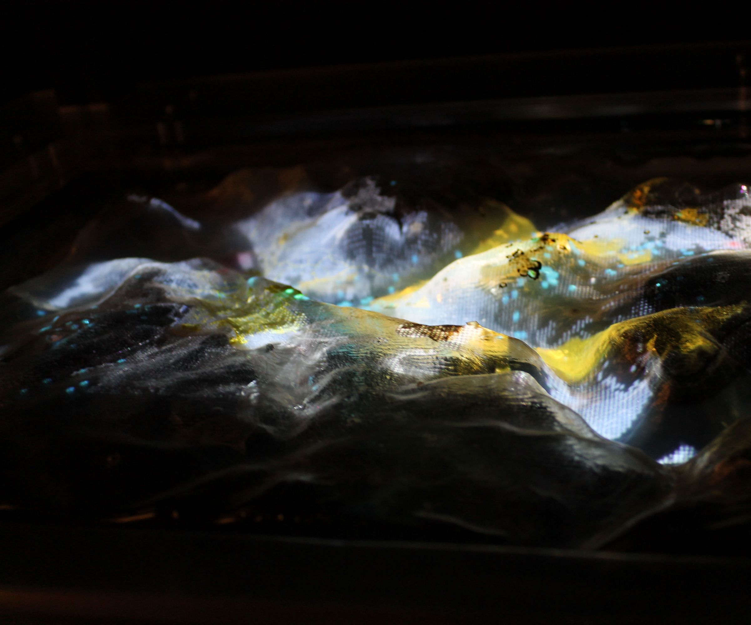 How to Make an Agar Topography