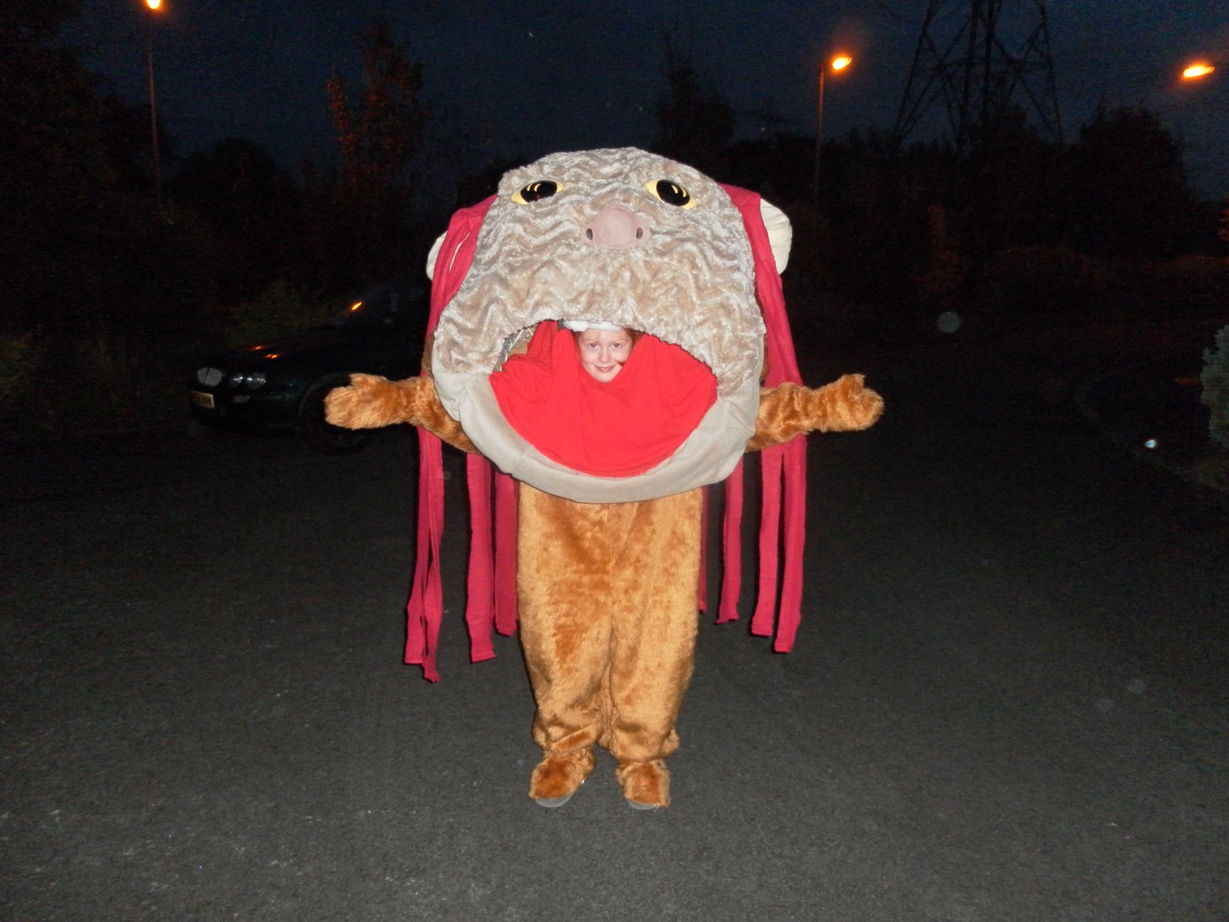 Where the Wild Things Are KW Costume