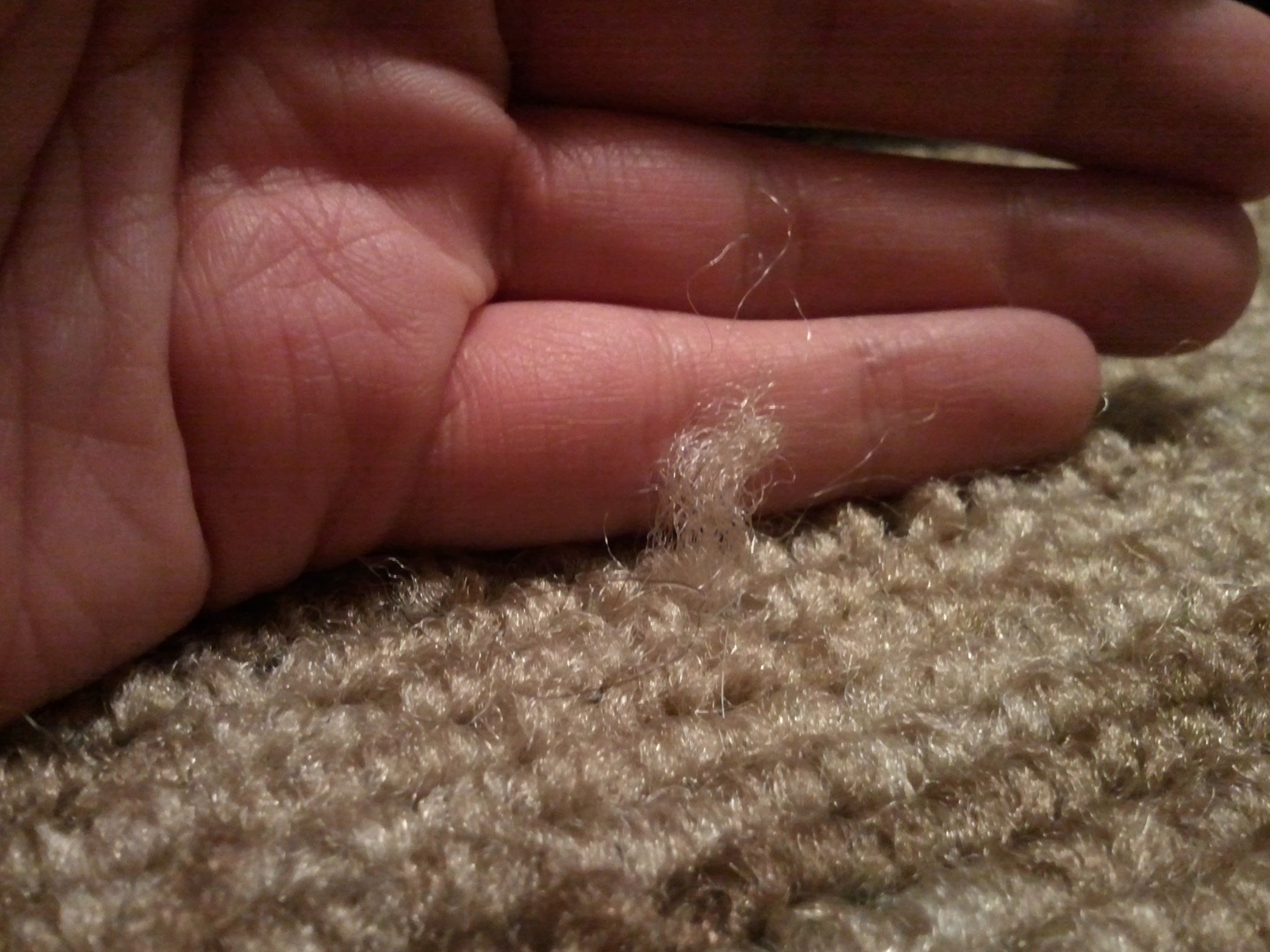 Fix a Snag in a Rug 5 Steps (with Pictures) Instructables