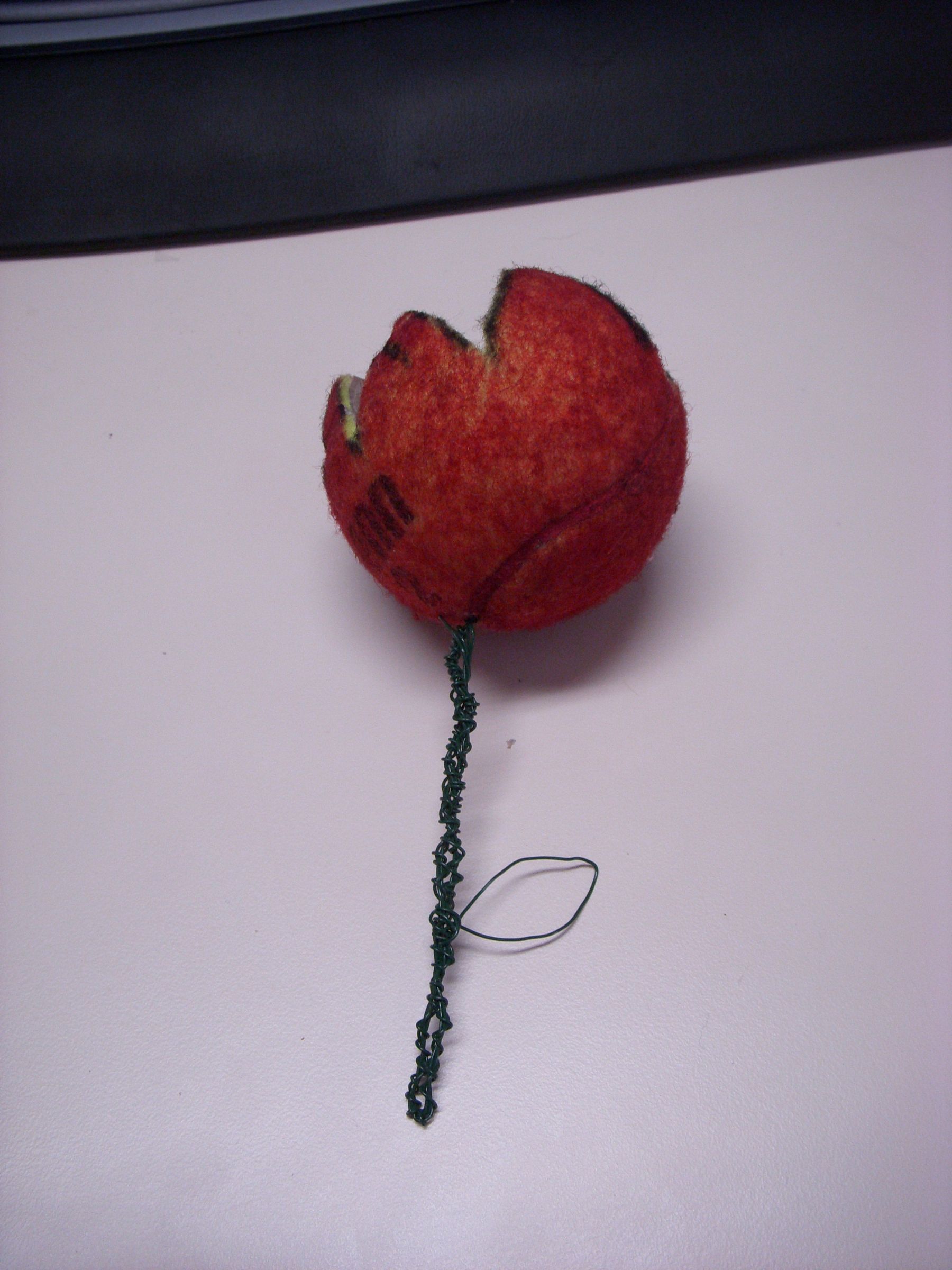 Romantic Tennis Ball Rose/tullip