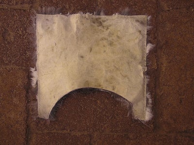Furry Lid