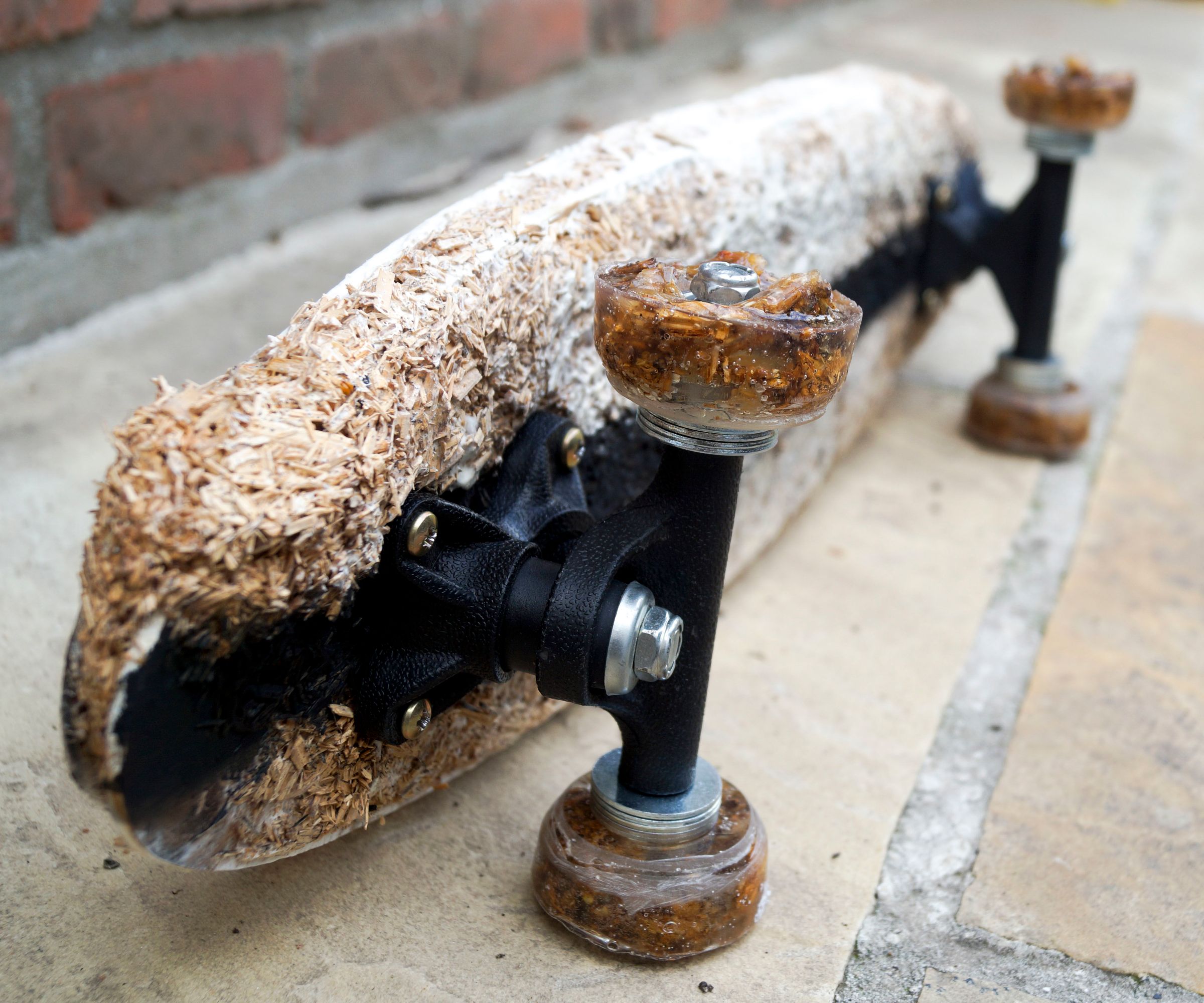 Grow It Yourself - Mycelium Longboard / Pennyboard