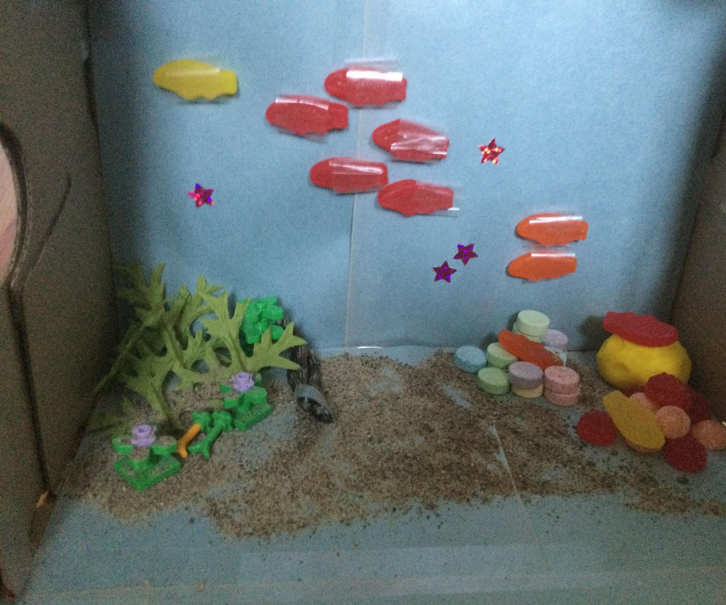 Candy Marine Ecosystem