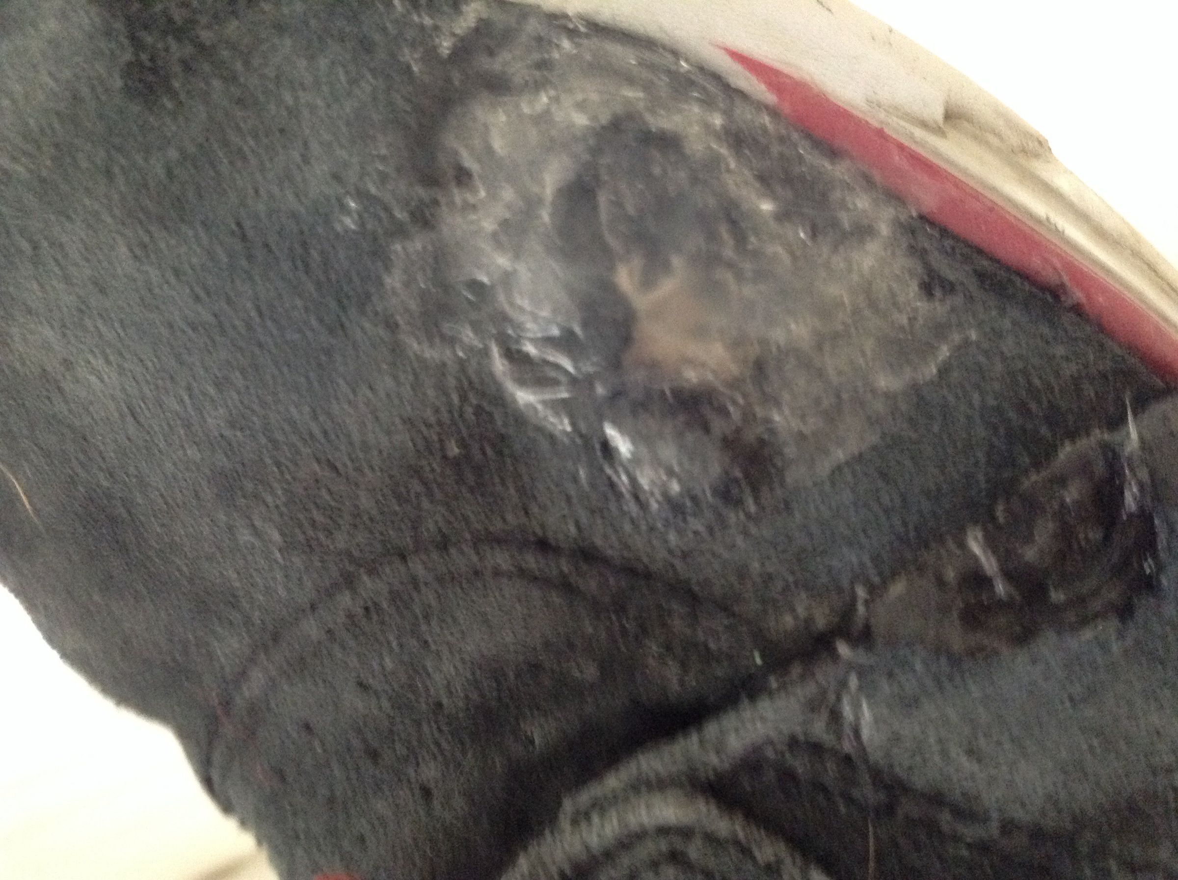 Repair Your Skate Shoes With Hot Glue 3 Steps Instructables