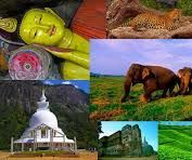 How to Plan an Exploratory Tour in Sri Lanka