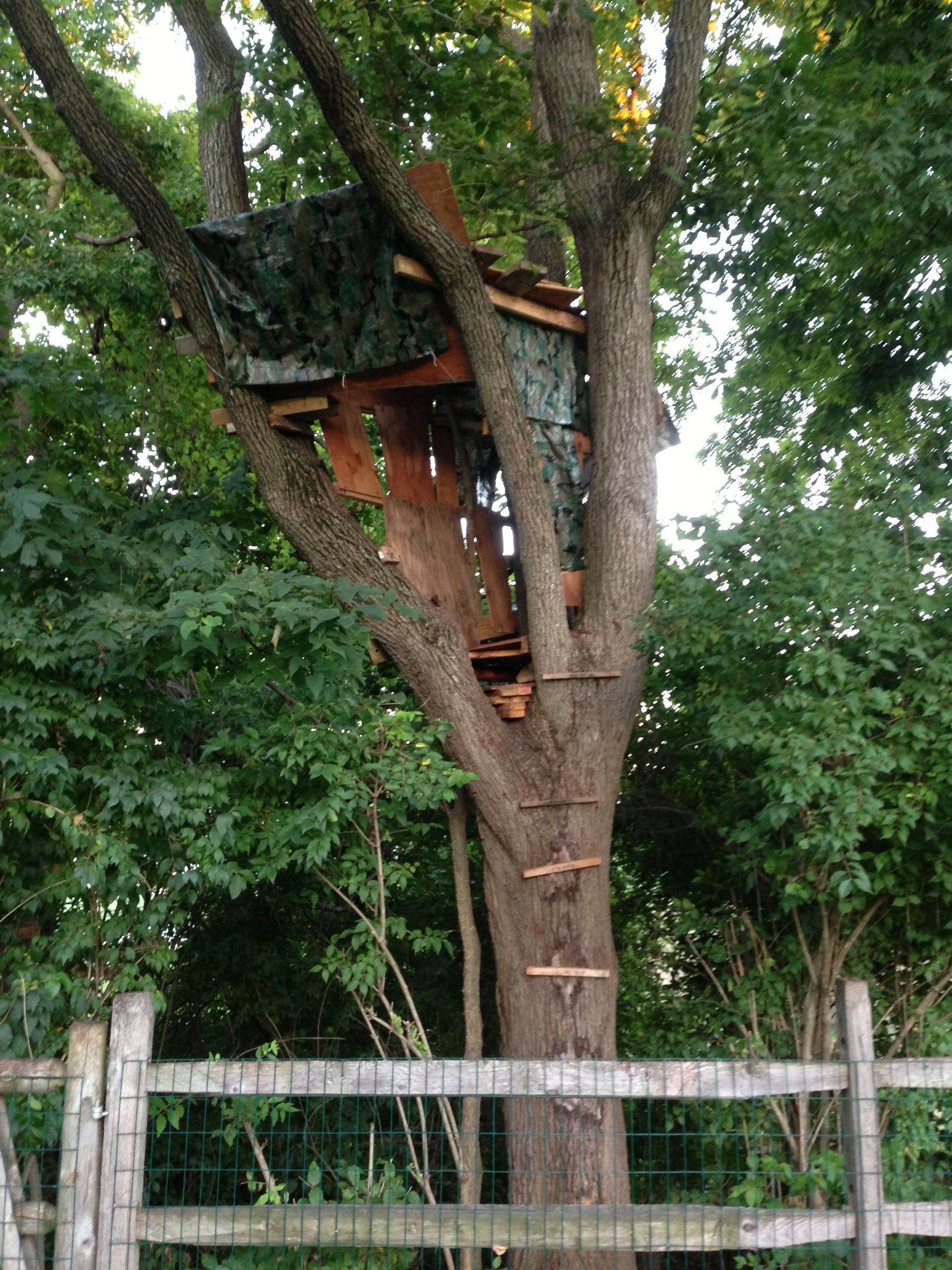DIY Treehouse