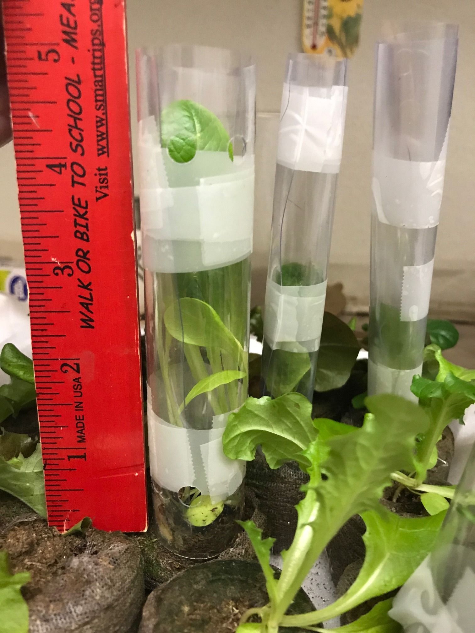 Tube Garden 3 Steps Instructables