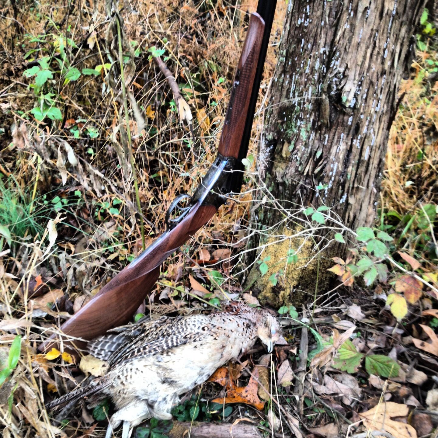 Shot Gun Shell Rocket