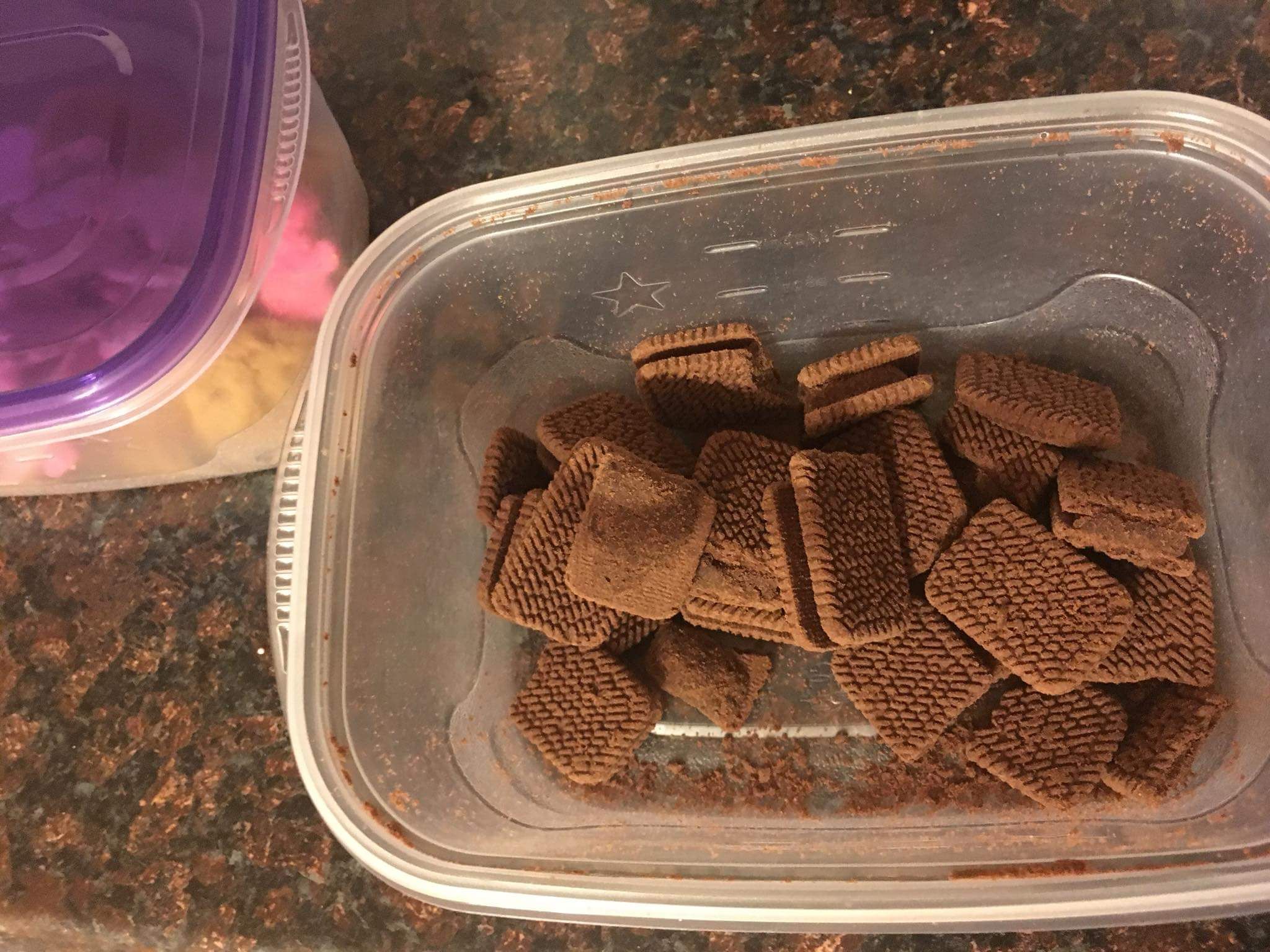 Mother's Cookie Parade 6 Steps Instructables