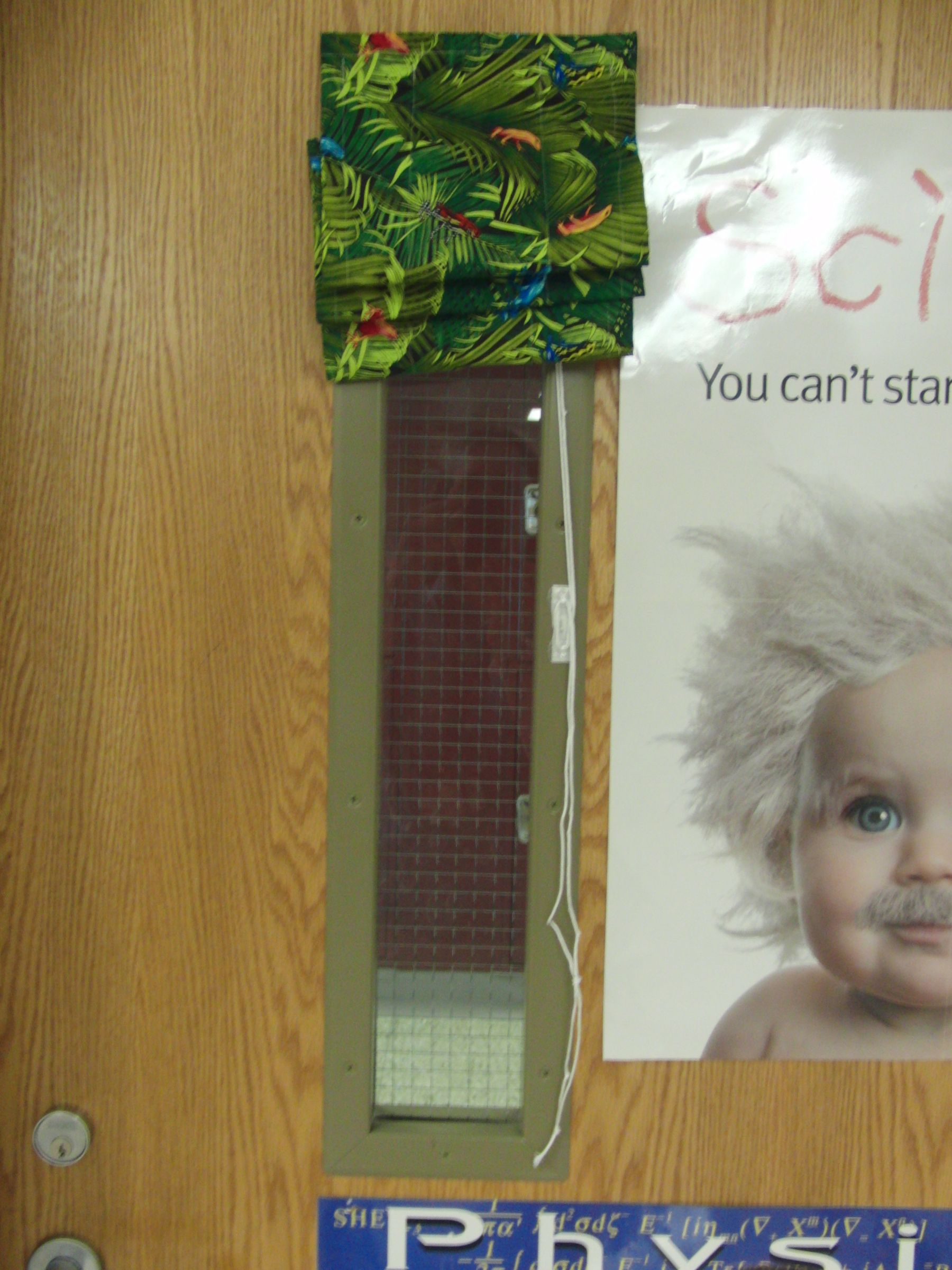 Roman Shades for Classroom Windows