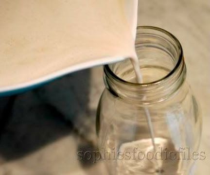 Raw Sunflower Seed Milk