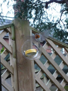 Small Simple Horizontally Mounted Squirrel Resistant/proof Bird Feeder That Requires No Specialist Tools to Make